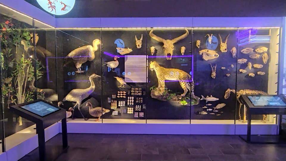 Konya'daki bu binanın içine giren, 9 bin yıl önceye gidiyor! 4